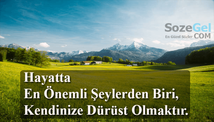 Hayatta En Önemli Şeylerden Biri Kendinize Dürüst Olmaktır