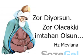 Mevlana Sözleri